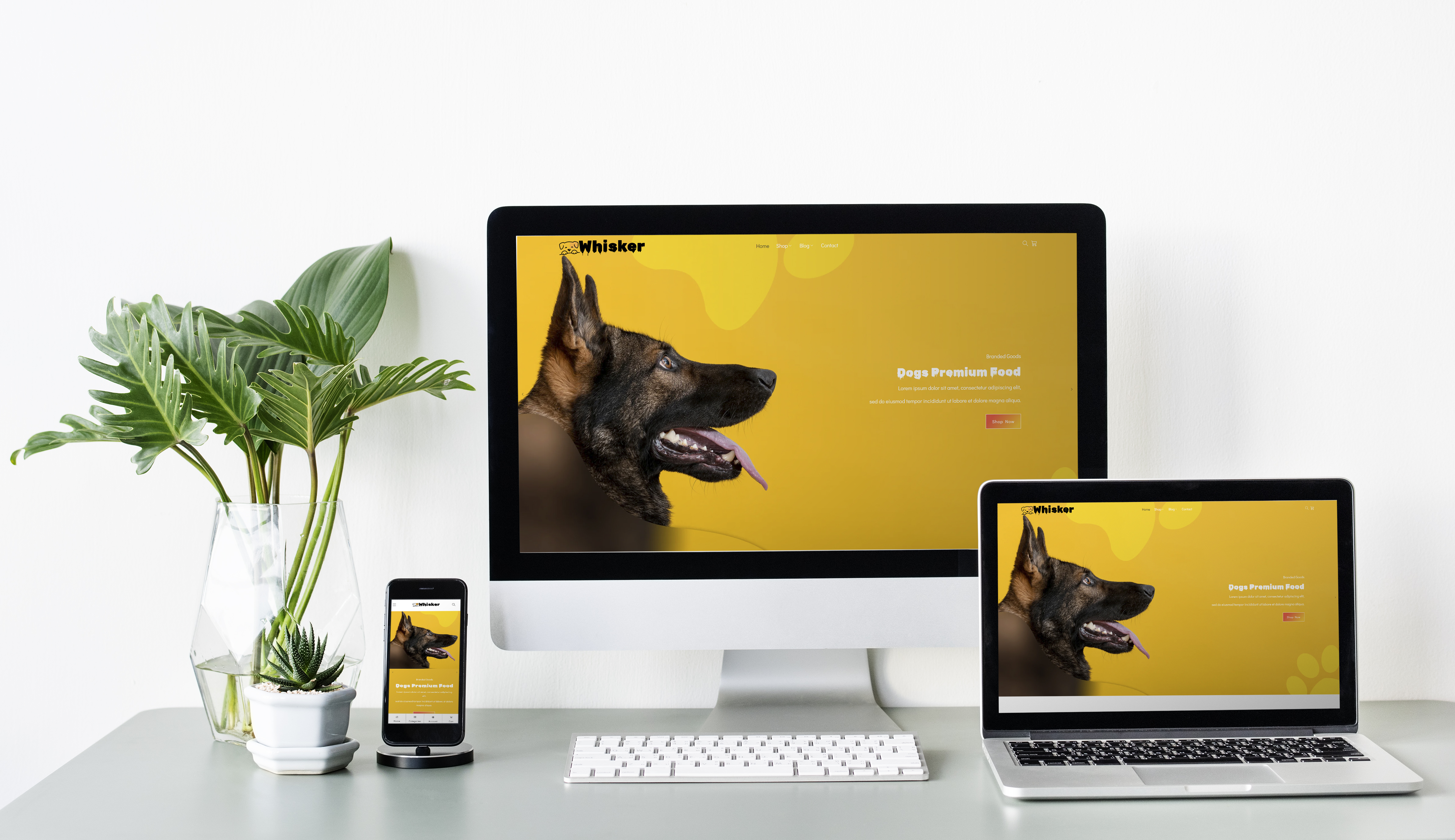 Portfolio Hero Image